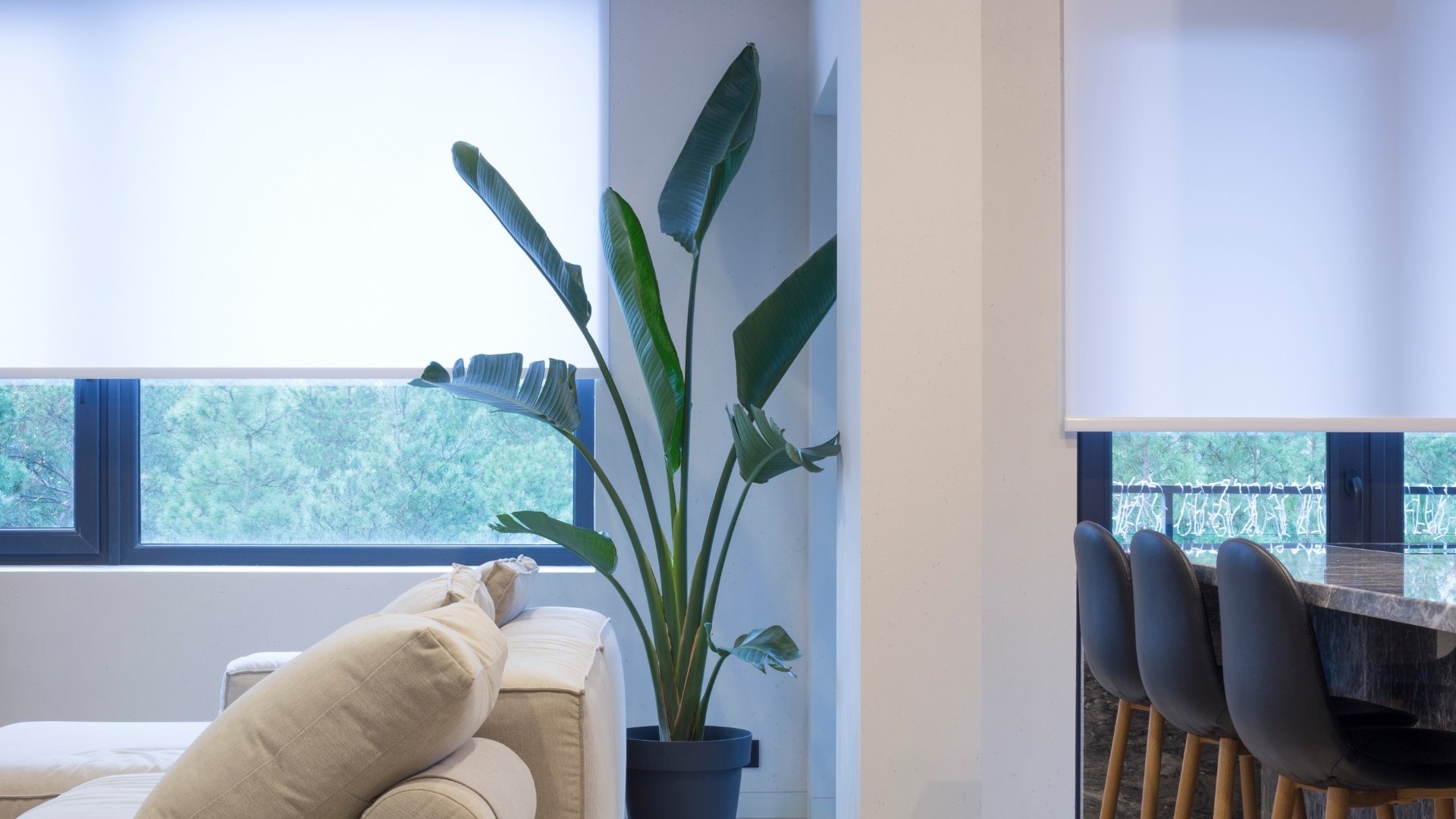Are Shades Worth the Investment? How to Choose Quality Over Price